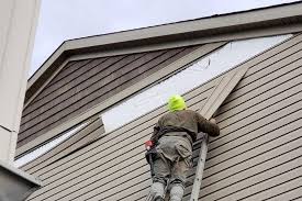 Best Vinyl Siding Installation  in Chatfield, MN